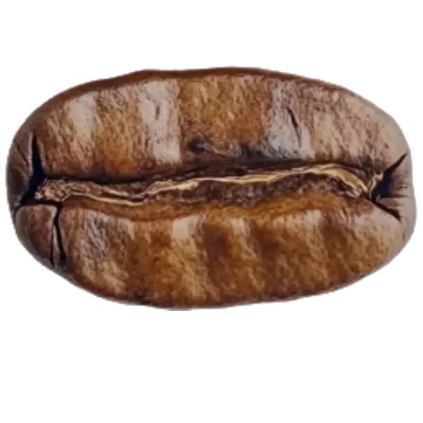 Image rotative